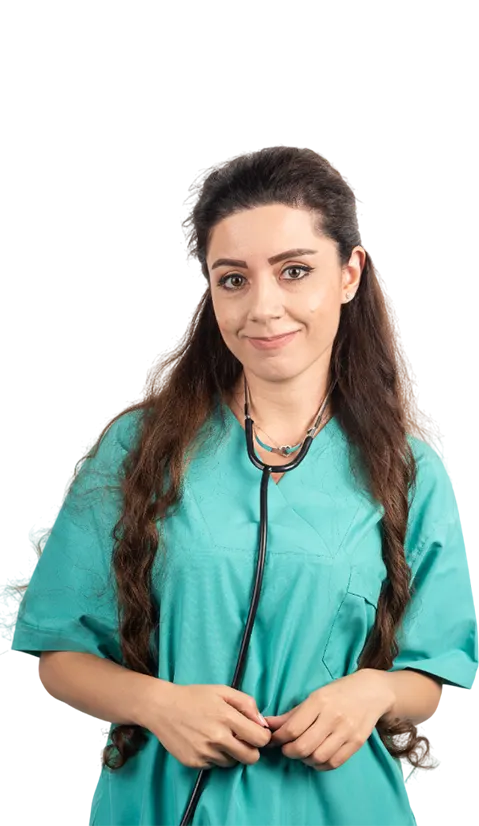 Coursework Assistance